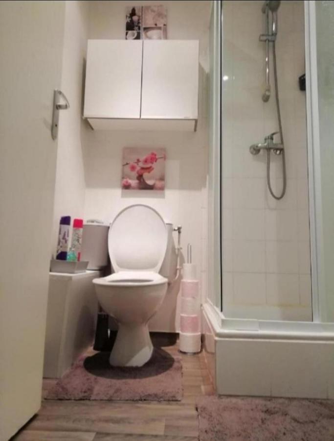 Apartament T1 Bis Calme Proche Centre Ville Saint-Etienne  Zewnętrze zdjęcie