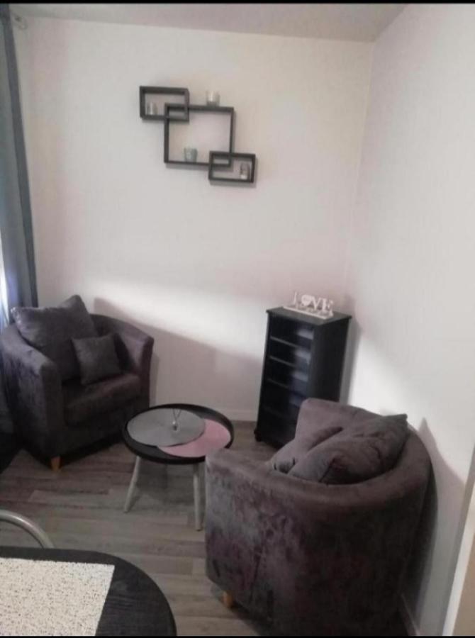 Apartament T1 Bis Calme Proche Centre Ville Saint-Etienne  Zewnętrze zdjęcie
